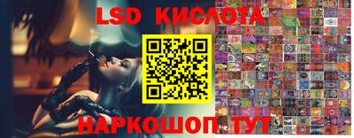 амф Коммунар