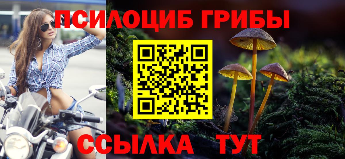 Псилоцибиновые грибы Psilocybe  купить  сайты  Камышин  Псилоцибиновые грибы Magic Shrooms  Вход с VPN 