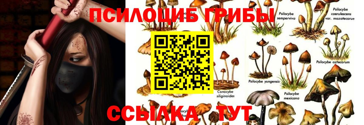 Галлюциногенные грибы мухоморы Камышин
